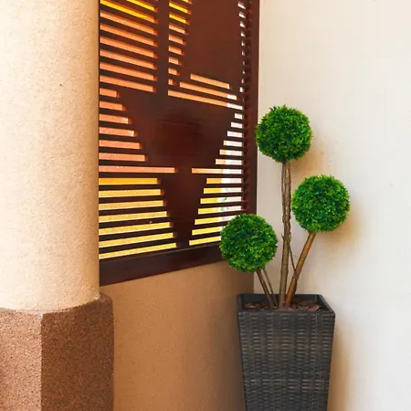 Apartment Nana Golubac